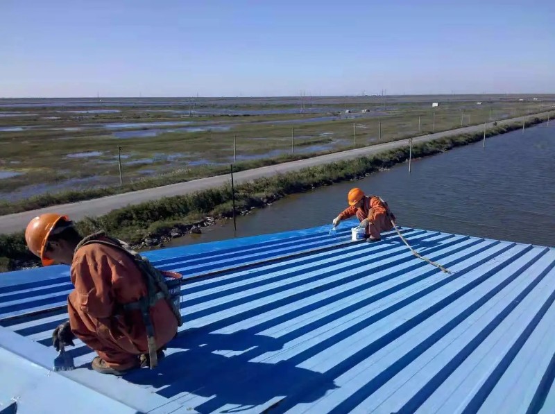 蕲春钢结构屋面漏水原因